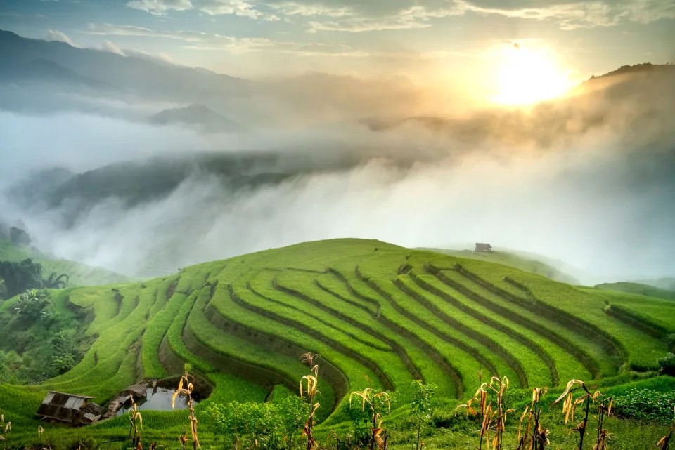 Kho gạo của Trương Văn Ngọc